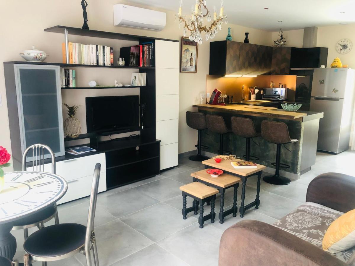Villa T2 Aile De Et Spa-jacuzzi Prive Et Illimite Et Plateau D'acceuil Offert!