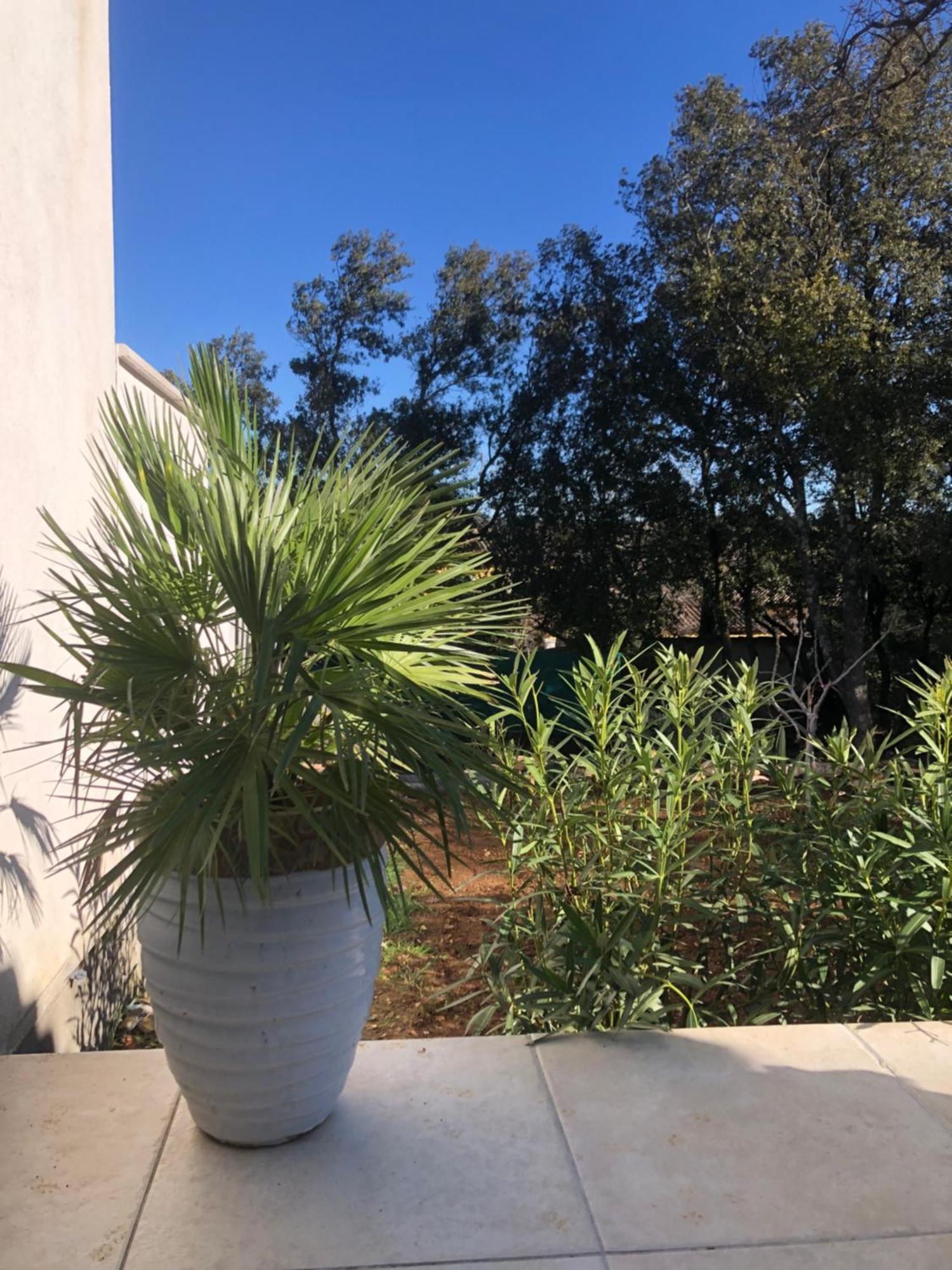 T2 Aile De Et Spa-jacuzzi Prive Et Illimite Et Plateau D'acceuil Offert! Villa Camps-la-Source