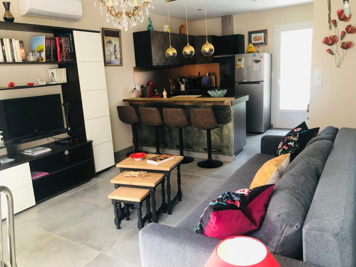 Villa T2 Aile De Et Spa-jacuzzi Prive Et Illimite Et Plateau D'acceuil Offert!