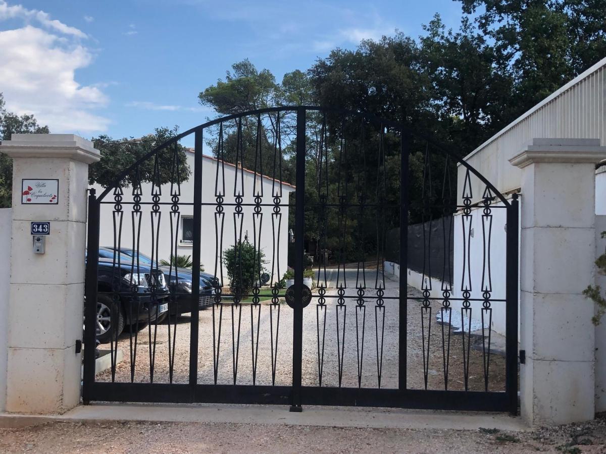 T2 Aile De Et Spa-jacuzzi Prive Et Illimite Et Plateau D'acceuil Offert! *